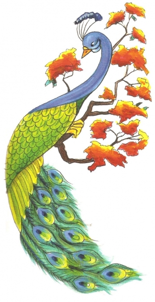 Card image cap
